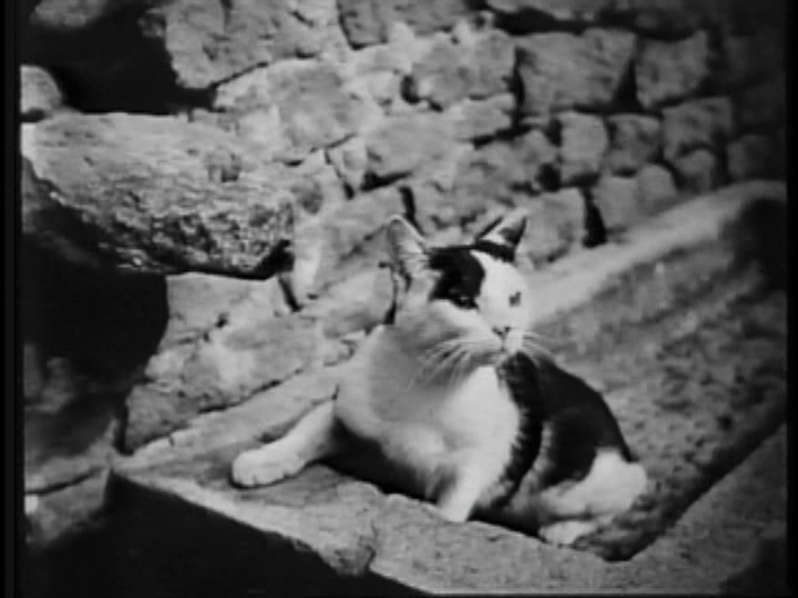 La Merveilleuse Vie de Jeanne D'Arc 04