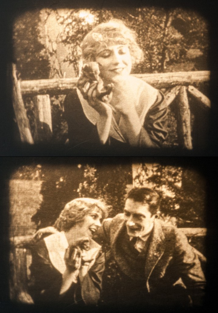 Molly King - 1917 The Mystery of the Double Cross