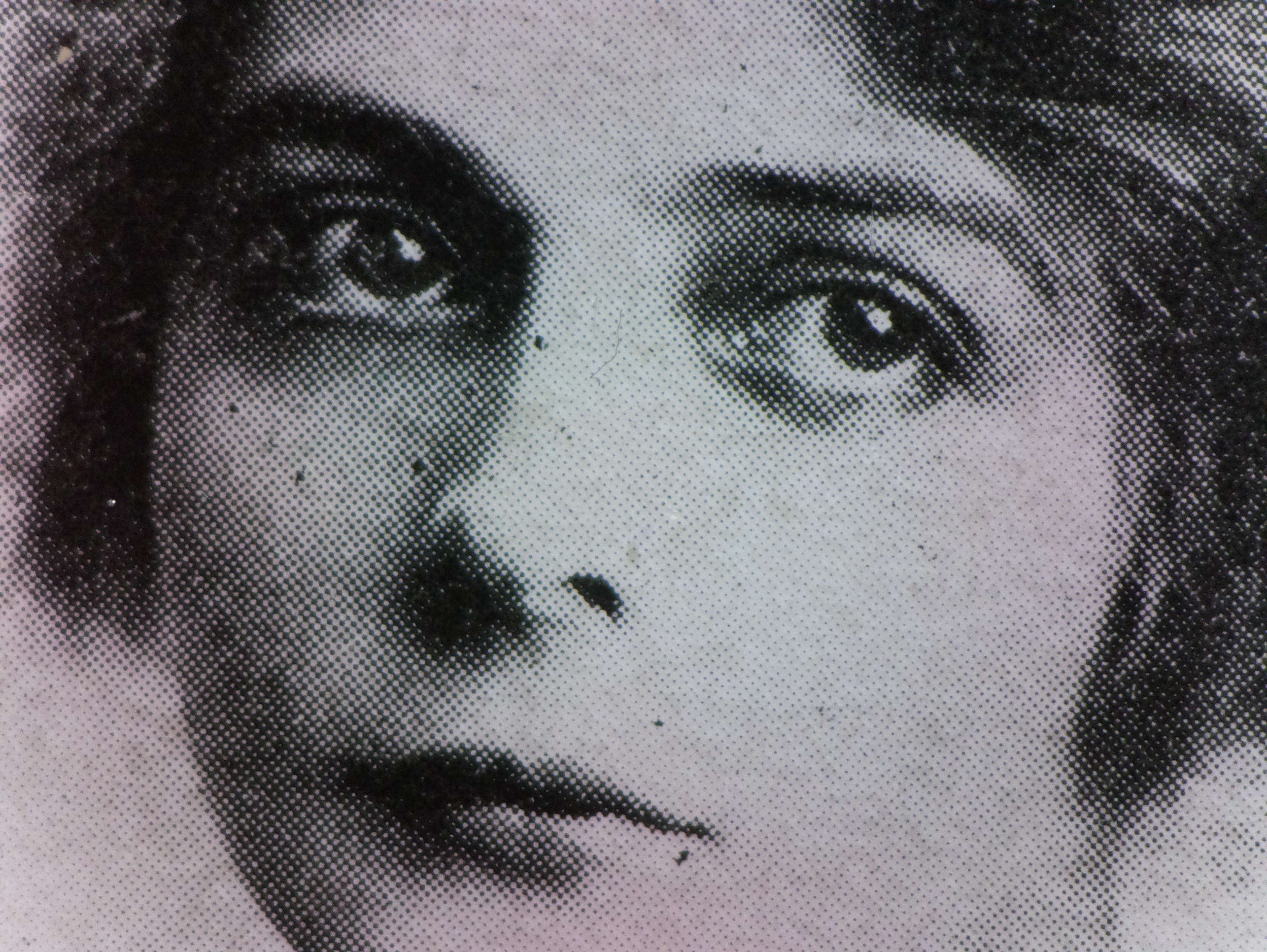 ラズパイカメラ(レンズ変更・設定無し)